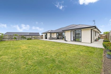 Photo of property in 19 Raptor Street, Rolleston, 7615