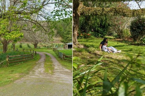 Photo of property in 868 Allport Road, Paengaroa, 3189