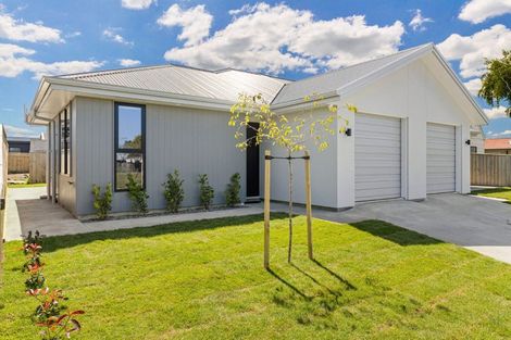 Photo of property in 46a Hereford Street, Springvale, Wanganui, 4501