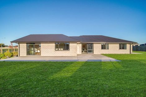 Photo of property in 1 Harrier Place, Amberley, 7410