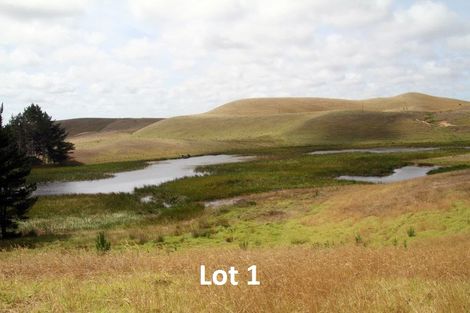 Photo of property in 540 Kimberley Road, Ngataki, Kaitaia, 0484