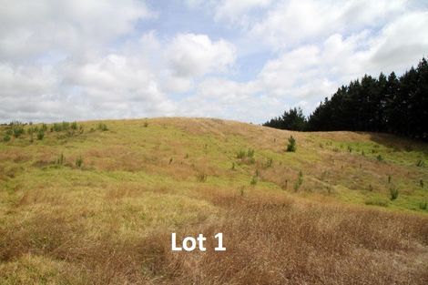 Photo of property in 540 Kimberley Road, Ngataki, Kaitaia, 0484