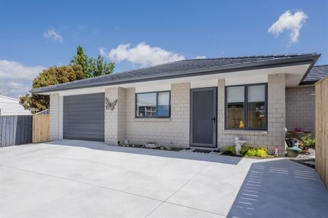 Photo of property in 69a Trafalgar Street, Levin, 5510