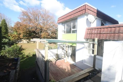 Photo of property in 52 Fruitvale Road, New Lynn, Auckland, 0600