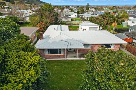 Photo of property in 7 Henton Street, Te Aroha, 3320