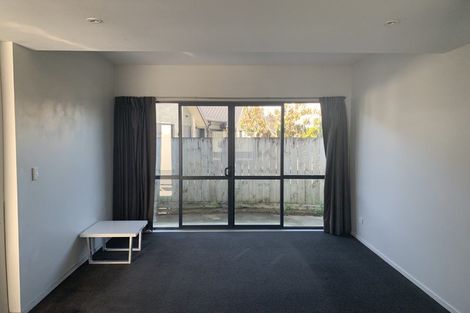 Photo of property in 195u1 Massey Street, Frankton, Hamilton, 3204