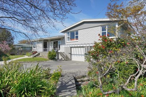 Photo of property in 3 Fraser Place, Rangiora, 7400