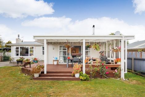 Photo of property in 145 Stanford Street North, Ashhurst, 4810