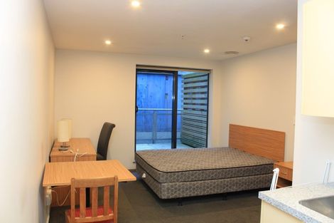 Photo of property in Dual Apartments, 108/142u Vivian Street, Te Aro, Wellington, 6011
