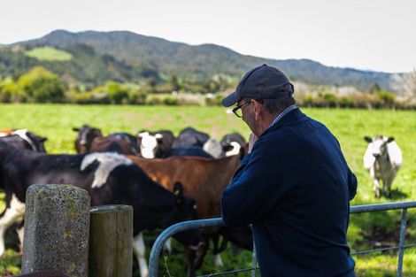 Photo of property in 100 Franklin Road, Waihi, 3682