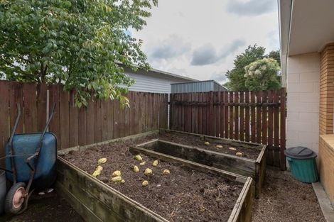 Photo of property in 52d Naylor Street, Hamilton East, Hamilton, 3216