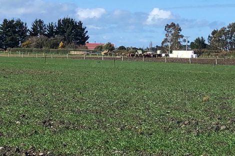 Photo of property in Laings Road, Tinwald, Ashburton, 7775
