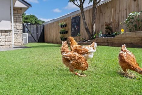 Photo of property in 154 Kilkenny Drive, East Tamaki Heights, Auckland, 2016