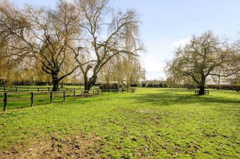 Photo of property in 31 Racecourse Road, Cambridge, 3493