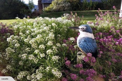 Photo of property in 1c/145 Ohiro Road, Brooklyn, Wellington, 6021