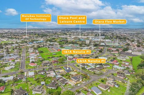 Photo of property in 1 Natalie Place, Otara, Auckland, 2023