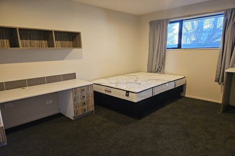 Photo of property in 17 Suffolk Street, Phillipstown, Christchurch, 8011