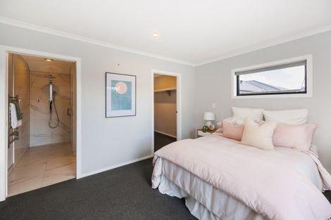 Photo of property in 43 Accolade Street, Feilding, 4702