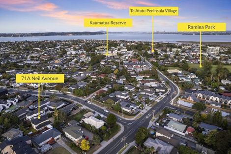 Photo of property in 71a Neil Avenue, Te Atatu Peninsula, Auckland, 0610