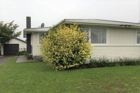 Photo of property in 16 Graham Street, Levin, 5510