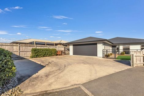 Photo of property in 17 Story Street, Foxton Beach, Foxton, 4815