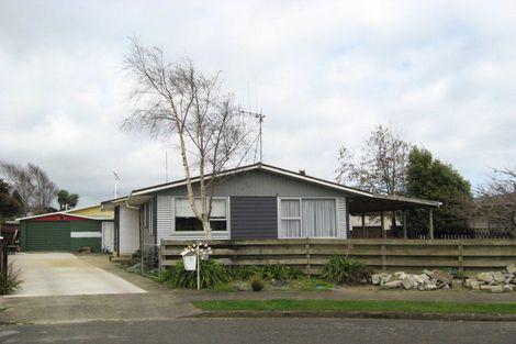 Photo of property in 6 Conway Street, Levin, 5510