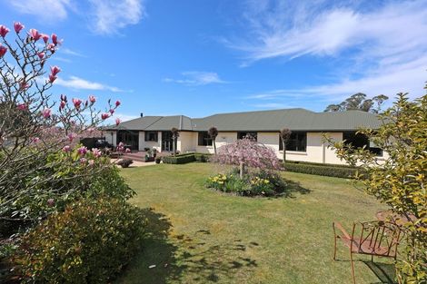 Photo of property in 331 Homestead Road, Weston, Oamaru, 9491