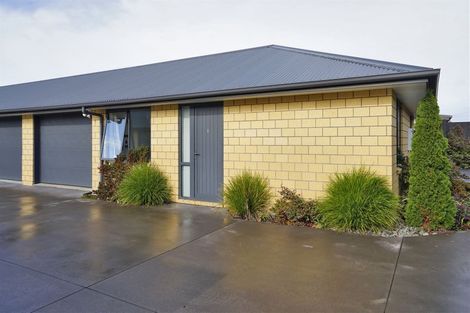 Photo of property in 21u6 Fifth Avenue, Enderley, Hamilton, 3214