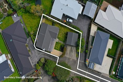 Photo of property in 3b Wheeler Place, Upper Vogeltown, New Plymouth, 4310