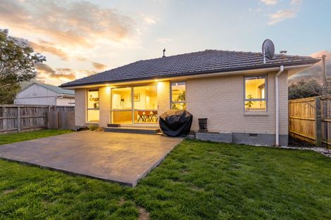 Photo of property in 182 Mcgregors Road, Linwood, Christchurch, 8062
