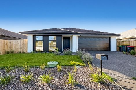 Photo of property in 10a Pax Avenue, Forrest Hill, Auckland, 0620