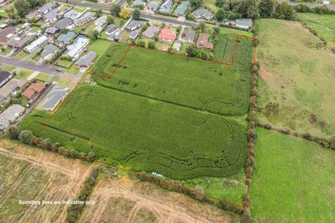 Photo of property in 20 Coolen Place, Tuakau, 2121