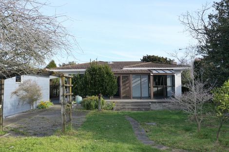 Photo of property in 19 Parsons Avenue, Levin, 5510
