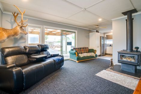 Photo of property in 20 Ajax Street, Milton, 9220