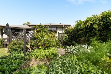 Photo of property in 5 Tanner Street, Tauranga South, Tauranga, 3112