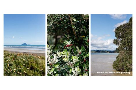 Photo of property in 52 Waterways Drive, Ohope, 3121