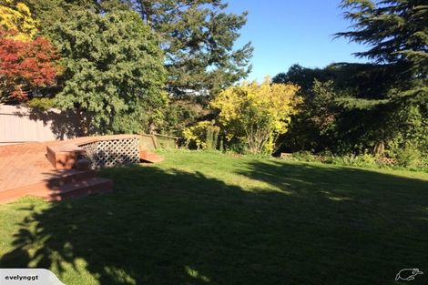 Photo of property in 34 Pukatea Street, Glenwood, Timaru, 7910