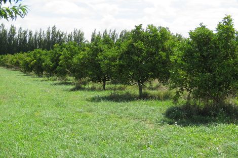 Photo of property in 17 Cemetery Road, Patutahi, Gisborne, 4072