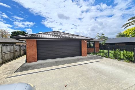 Photo of property in 16a Fend Street, Chartwell, Hamilton, 3210
