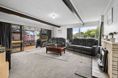 Photo of property in 144 Stanford Street North, Ashhurst, 4810