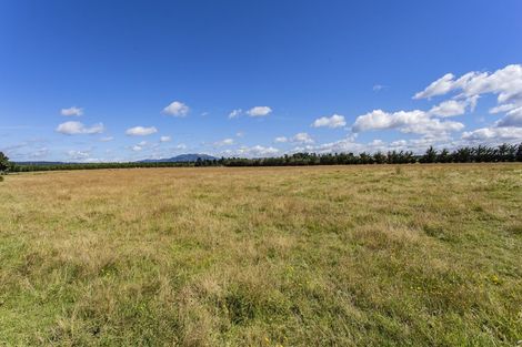 Photo of property in 1003 Marshmans Road, Balcairn, Rangiora, 7477