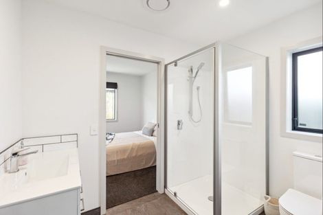 Photo of property in 45a Winchester Street, Levin, 5510