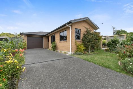 Photo of property in 95 Middle Road, Havelock North, 4130