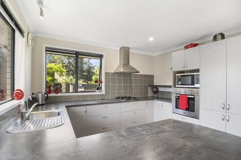 Photo of property in 19 Goodall Street, Dinsdale, Hamilton, 3204