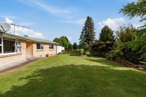 Photo of property in 107 Taumarunui-ngapuke Road, Taringamotu, Taumarunui, 3994