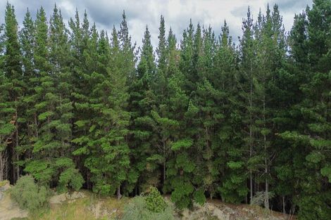 Photo of property in 3811 Waitotara Valley Road, Ngamatapouri, Whanganui, 4588