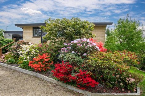 Photo of property in 3 Peterson Place, Bridge Hill, Alexandra, 9320