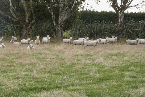 Photo of property in 339 Oteramika Road, Seaward Bush, Invercargill, 9871