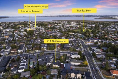 Photo of property in 71a Neil Avenue, Te Atatu Peninsula, Auckland, 0610