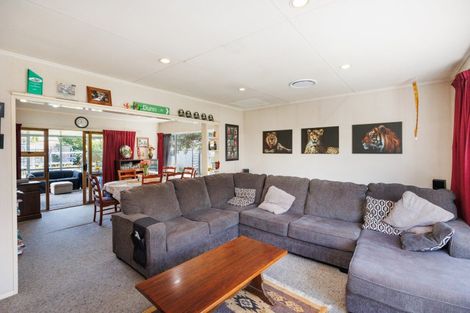 Photo of property in 159 Salisbury Street, Ashhurst, 4810